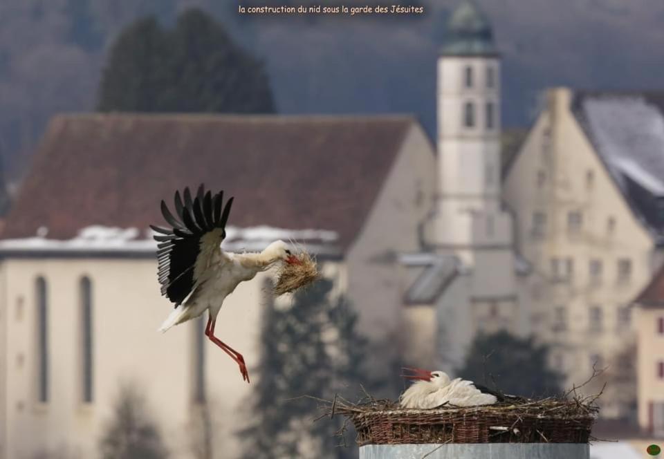 Domaine De Mont-Renaud Hotel Boncourt Bagian luar foto