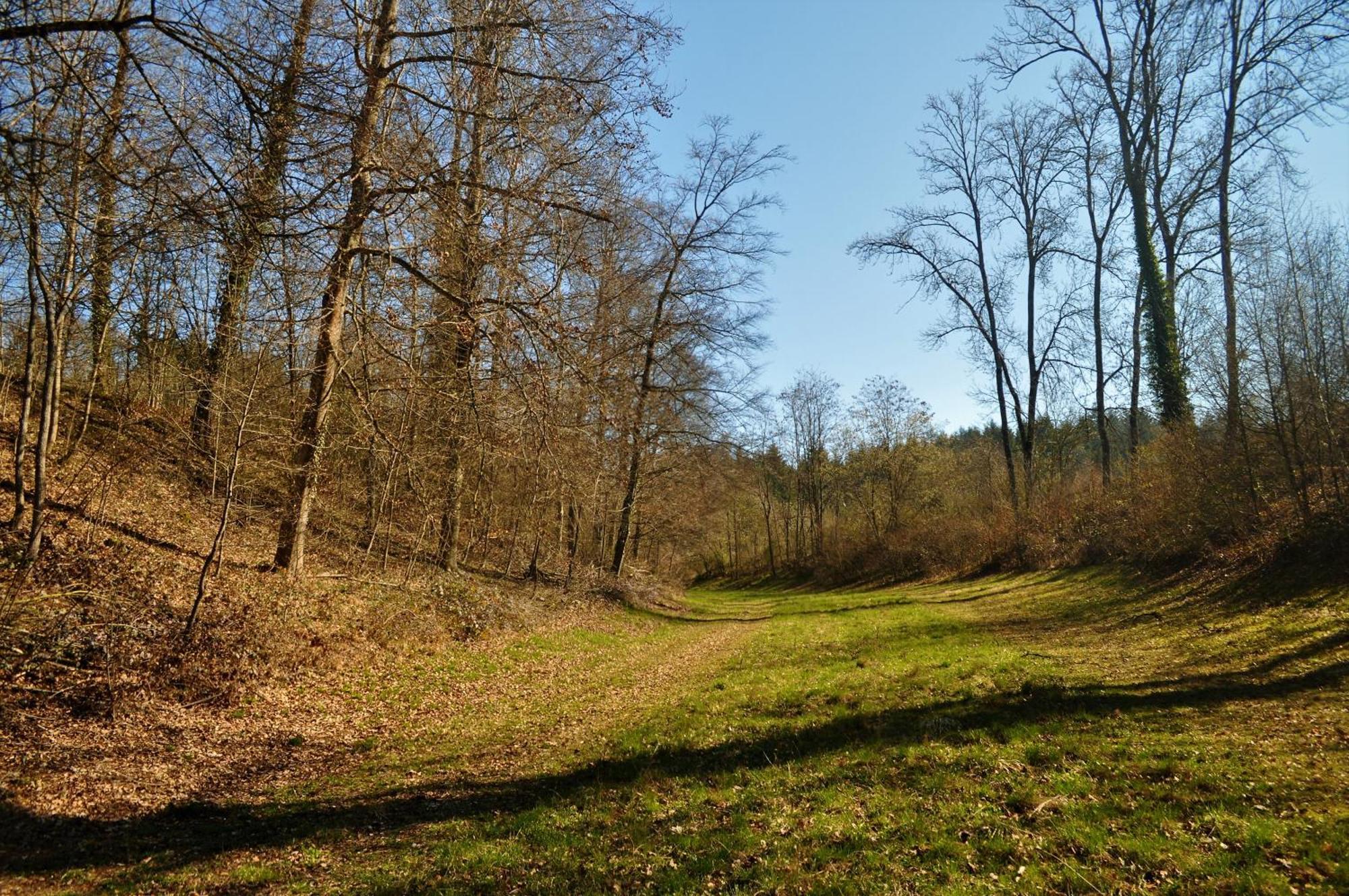 Domaine De Mont-Renaud Hotel Boncourt Bagian luar foto