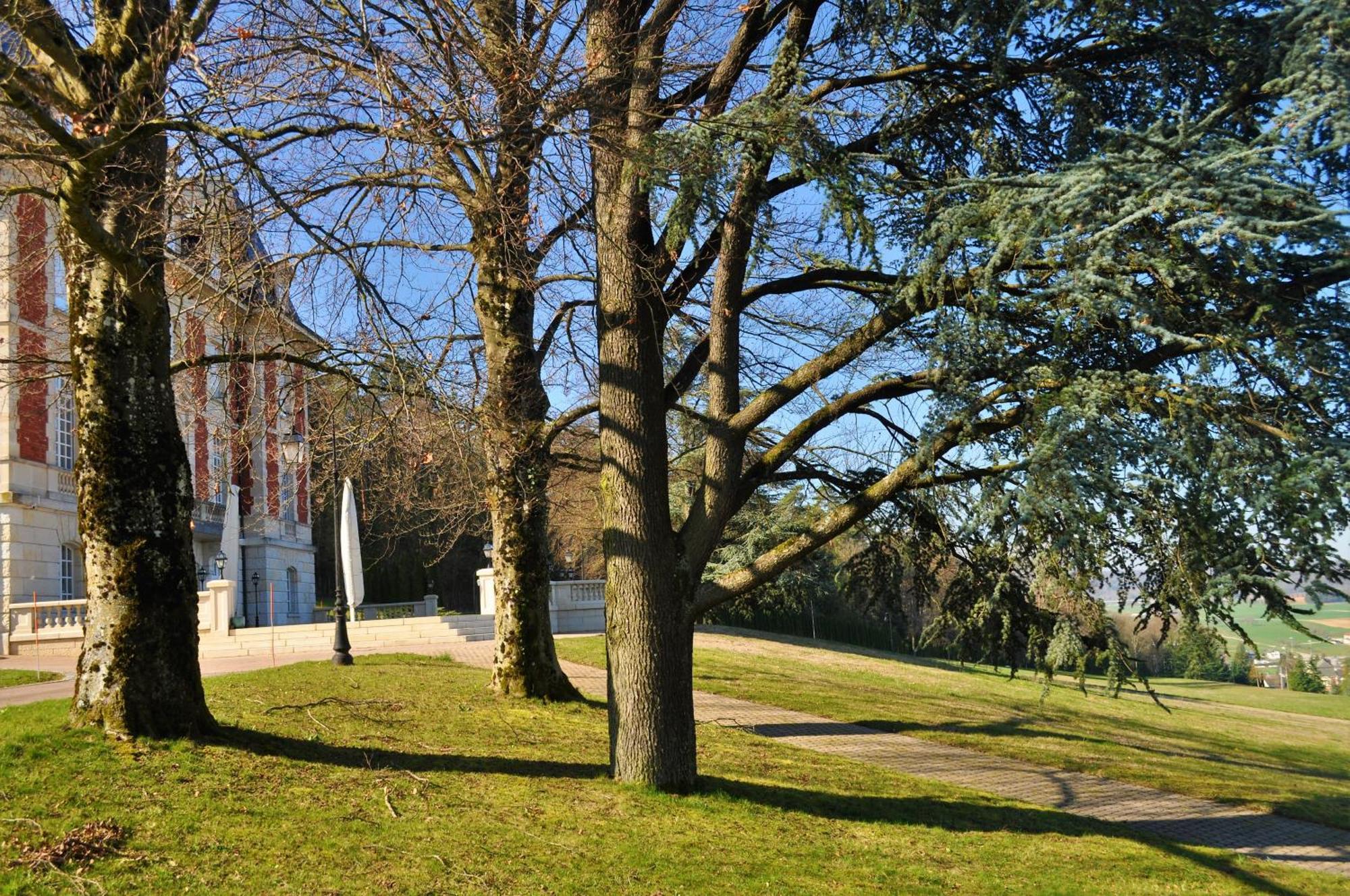 Domaine De Mont-Renaud Hotel Boncourt Bagian luar foto